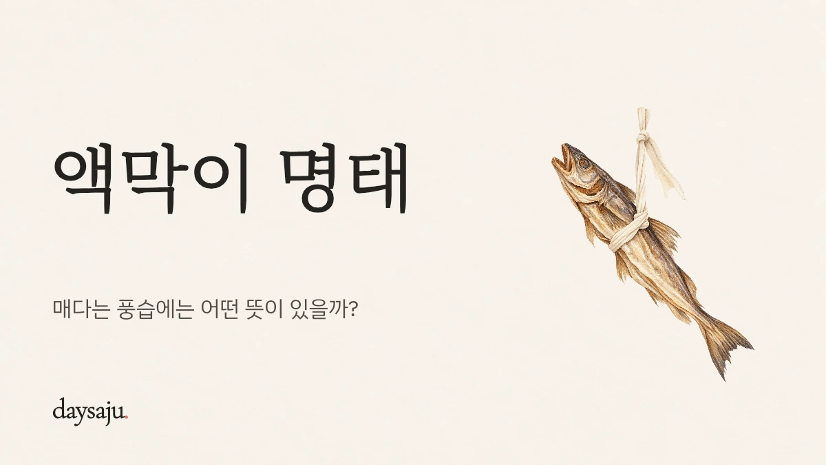 액막이 명태 — 매다는 풍습에는 어떤 뜻이 있을까?, 데이사주 한지 수채화 표지
